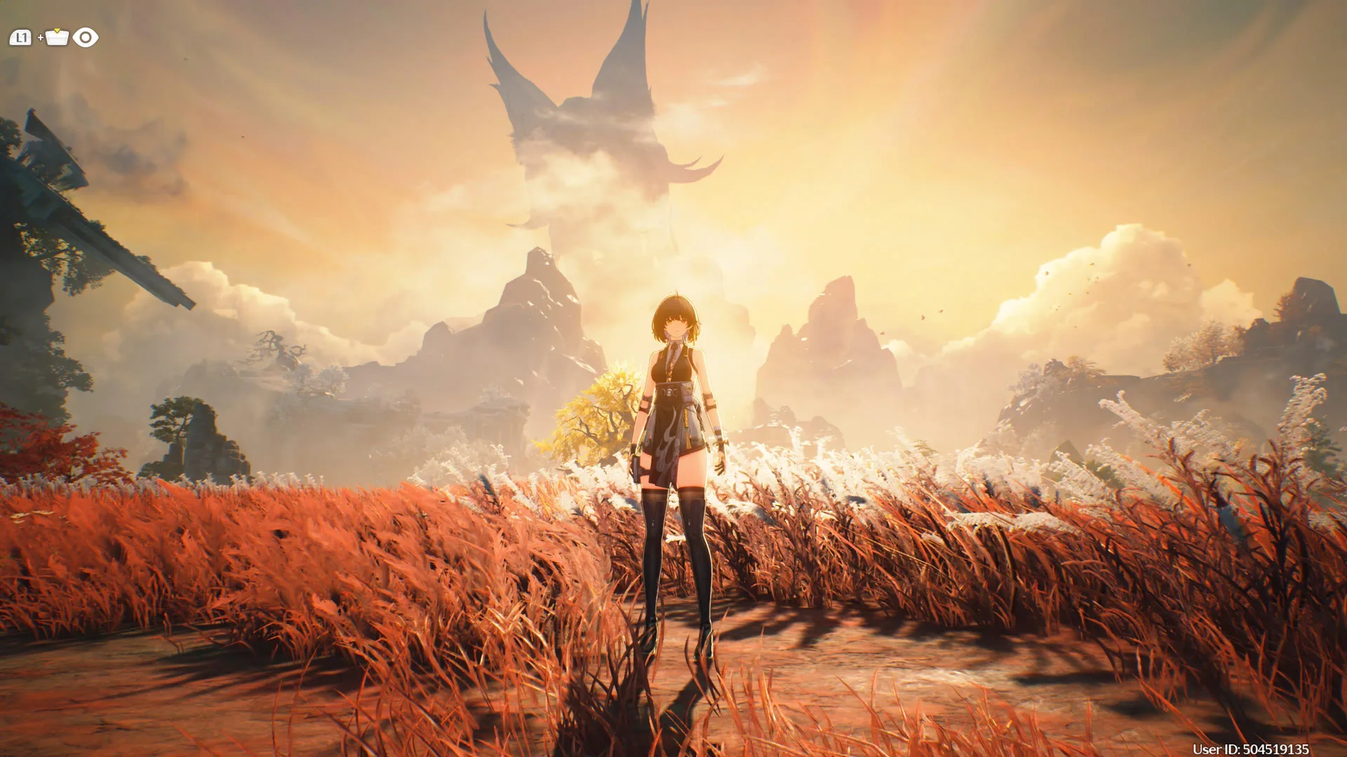 Wuthering Waves Players Request Dynamic HUD System