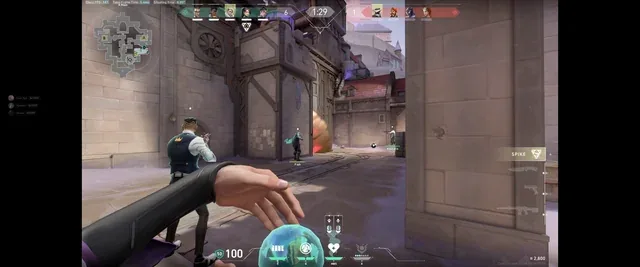 Players Question Potential Limits on Sage Heal Assists